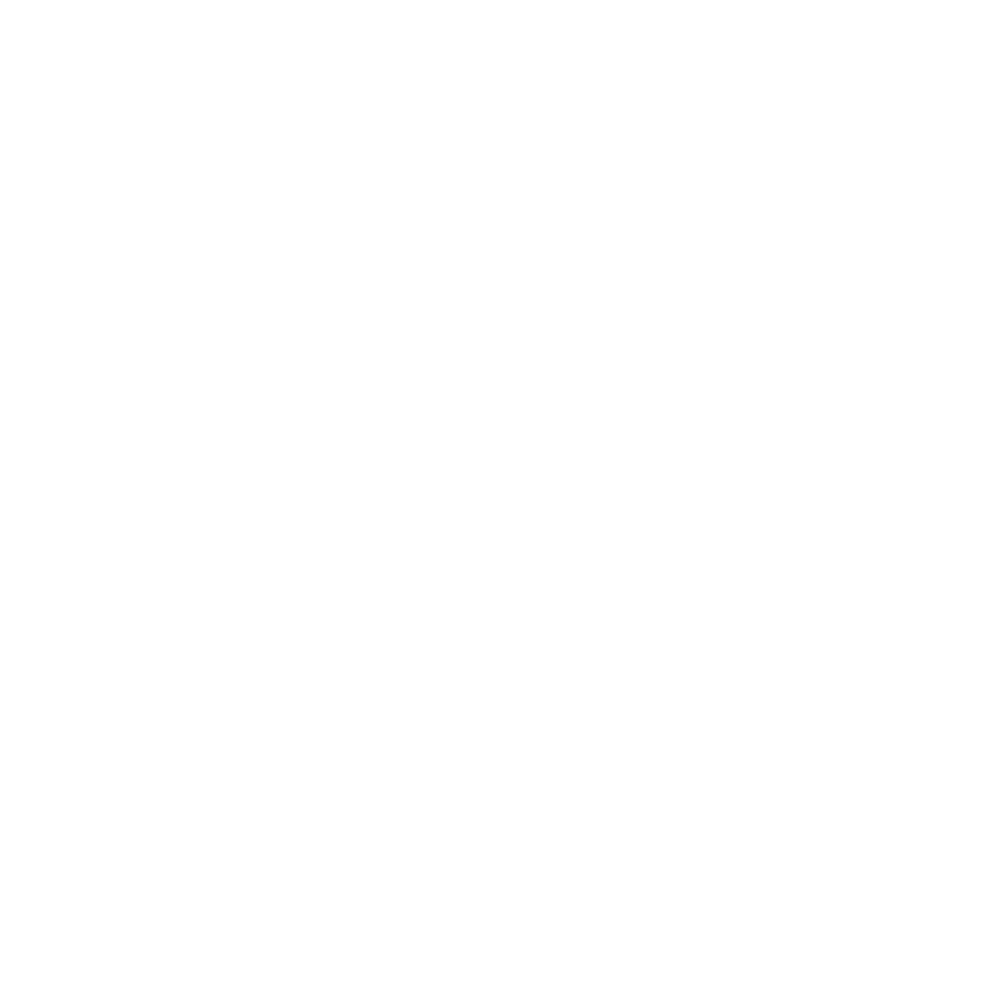 Globe illustration